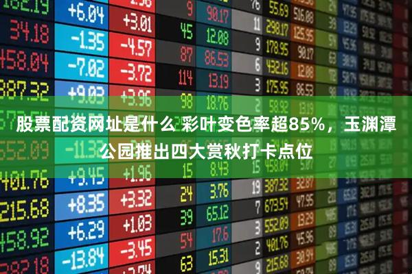 股票配资网址是什么 彩叶变色率超85%，玉渊潭公园推出四大赏秋打卡点位